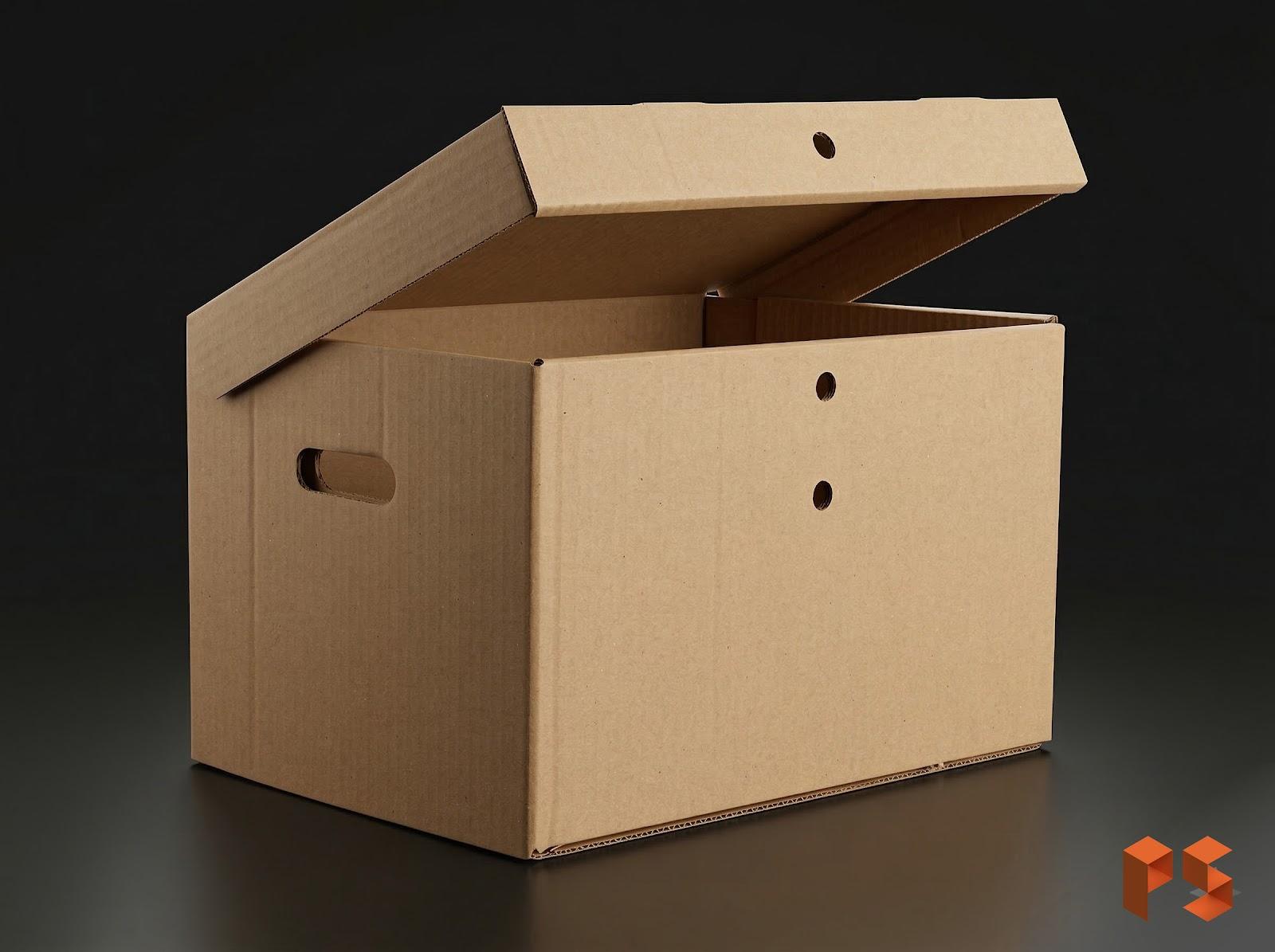 Caja P/Archivo Autoarmable 425x300x260 mm