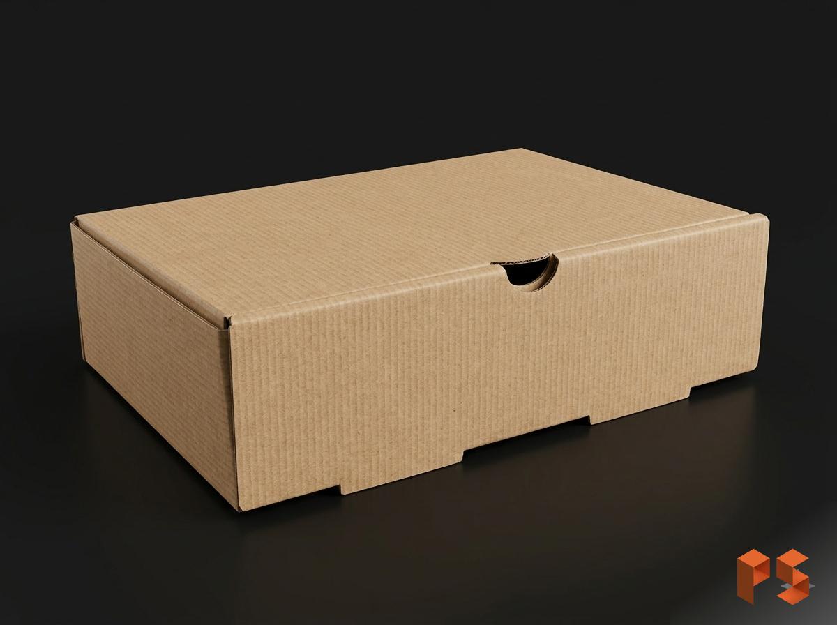 Caja Lomo Microcorrugado 26x19x7 cm